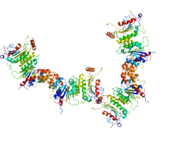 Представлено на основе  PDB 2QRV.