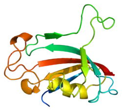 PDB представлено на основе 1pbk.