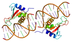 PDB rendering based on 1if1.