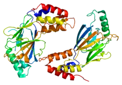 PDB в комплексе с  1j2f.