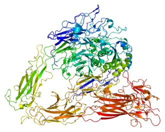 PDB прорисовано на основе 1jv2.