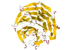 Rendering based on PDB 3II7.