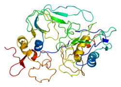 PDB прорисовано с опорой на 1bqq.