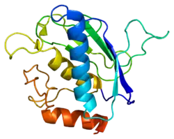 PDB rendering based on 1rm8.