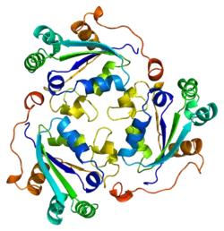 PDB представлено на примере 1be4.