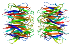 Нуклеофозмин30 апреля 2017