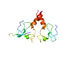 Представлено на основе  PDB 2PUY.