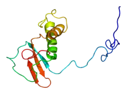 PDB rendering based on 1qkl.