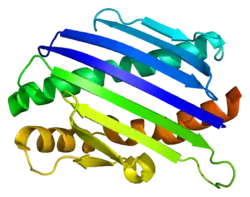 PDB rendering based on 1l8j.