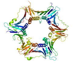 Представлено на основе PDB 3A1J.