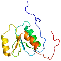 Представлено на основе  PDB 2EBU.