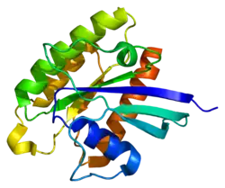 PDB представлен на примере 1xtq.