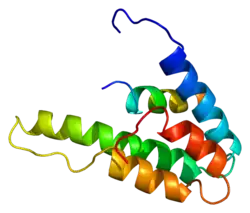 PDB представлено на основе 1g1e.