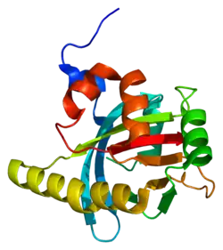 PDB представлено на основе 1ow1.