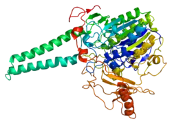 PDB прорисовано на основе 1p49.