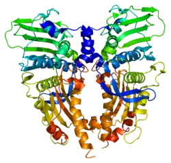 PDB показано на примере 1zxm.