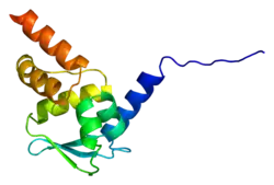 PDB представлено на примере 1buo.