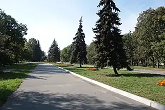 Аллея парка