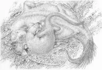 Реконструкция сражающихся пситтакозавра и репеномама