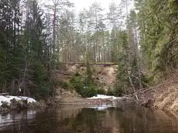 Пумина в среднем течении, апрель 2025