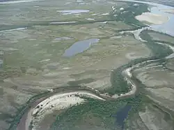 Низовье Пура в районе Самбурга летом 2011 года