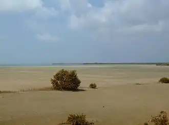 Лагуна во время отлива