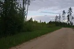 Могильный холм № 11134