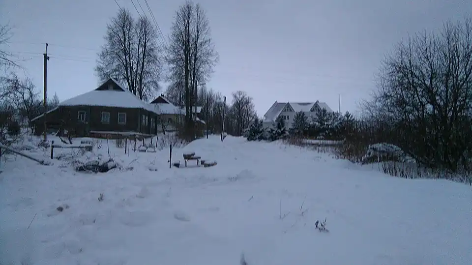 Деревня Усадище. 2019 год