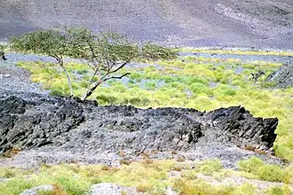 Возле города Марса-эль-Алам, Египет