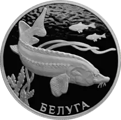 Серебряная монета Банка России «Белуга» из серии «Красная книга».