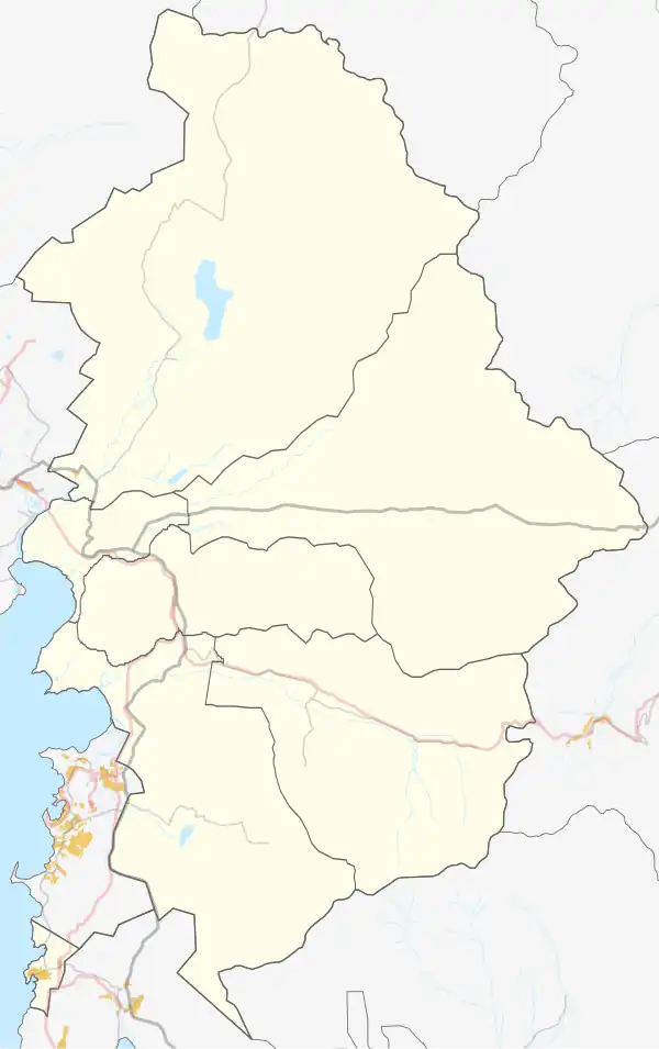 Шкотово (Шкотовский район)