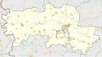 Шелемишево (Скопинский район)