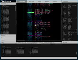 Скриншот программы Radare2
