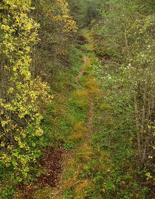Сухое русло реки Рагуша, вид с моста