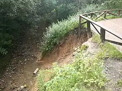 Размытый Раменкой берег. Июль 2020 года