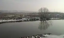 Нижнее течение Веди около города Александрия в декабре 2010 года