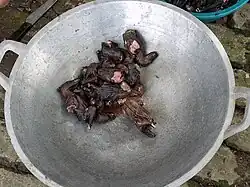 Мыши, готовые к процессу приготовления пищи