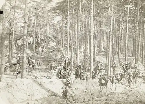 Могилы красногвардейцев. 1918 год