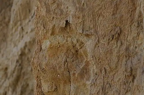 Красный песчаник