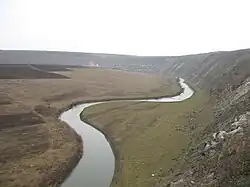 Реут в Оргеевском районе