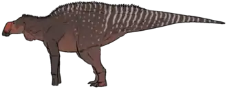 Реконструкция внешнего облика