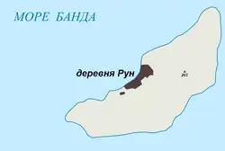 Рун 24 января 2014