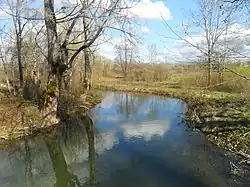 Верхнее течение реки весной 2012 года