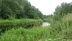 Река Назия вблизи от трассы Р-21 «Кола»