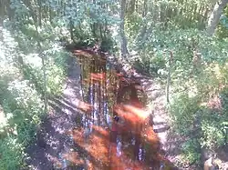 Река в селе Гута-Ткачёва