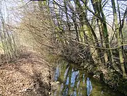 Волюве близ Волюве-Сен-Пьер