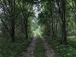 Дорога из Кунести в Загорье