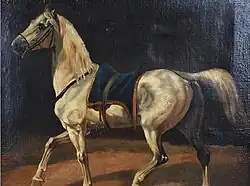 Королевская липпизанская лошадь. Холст, масло.