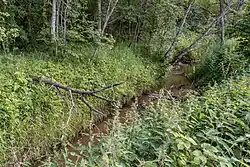 Река близ деревни Суглобино.