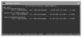 Скриншот программы RTorrent